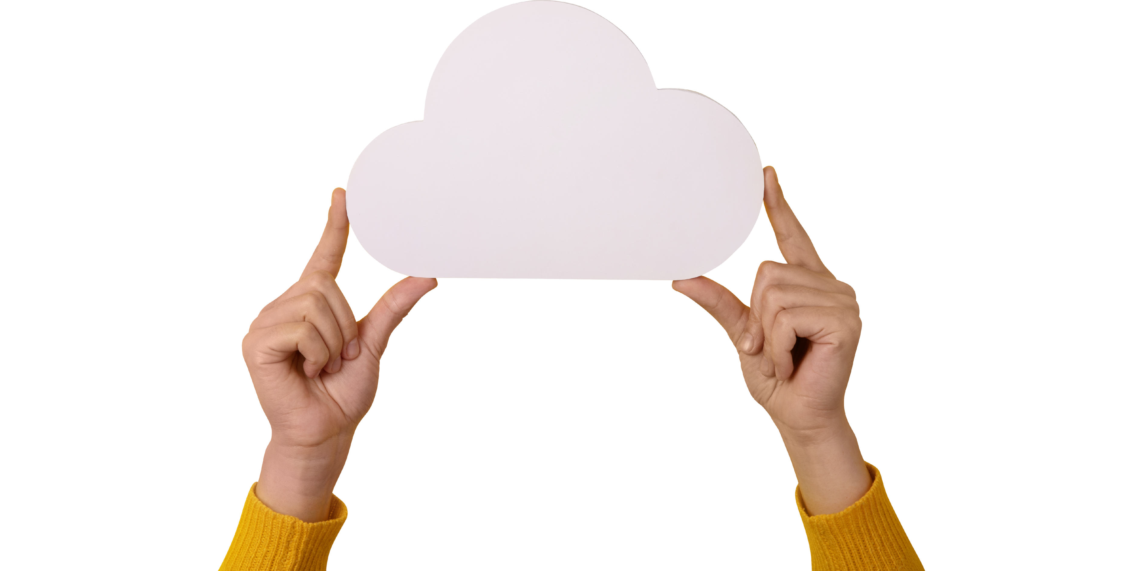 Migration Services Image